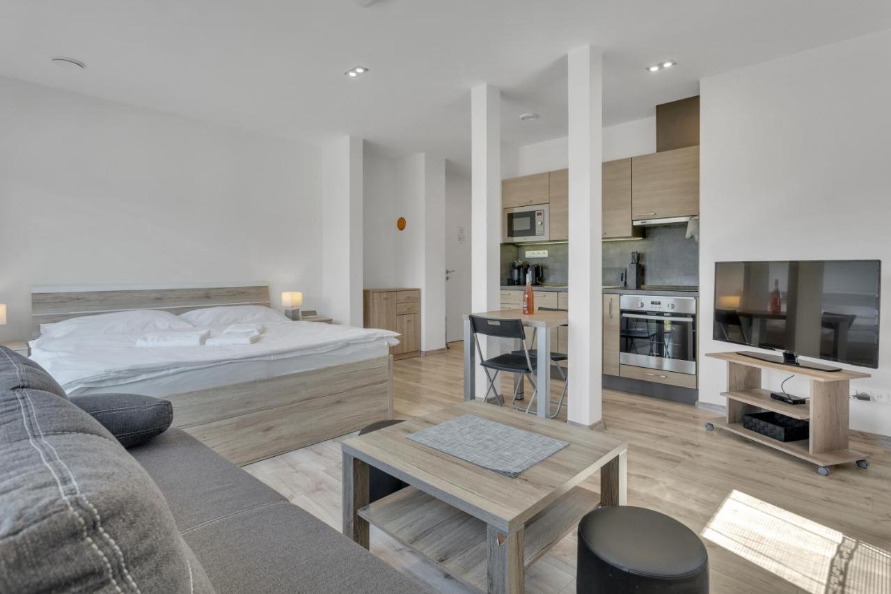 Family Apartments Klinovec โลชนา โปด กลิโนฟเซม ภายนอก รูปภาพ